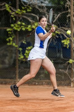 Bild 527 - BL DTV Hannover - BW Dresden Blasewitz : Ergebnis: 2:7